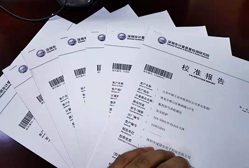 大量程30%VOL乙酸丁酯檢測儀