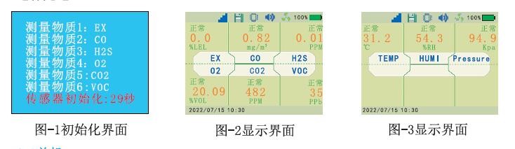 氣體檢測儀顯示界面
